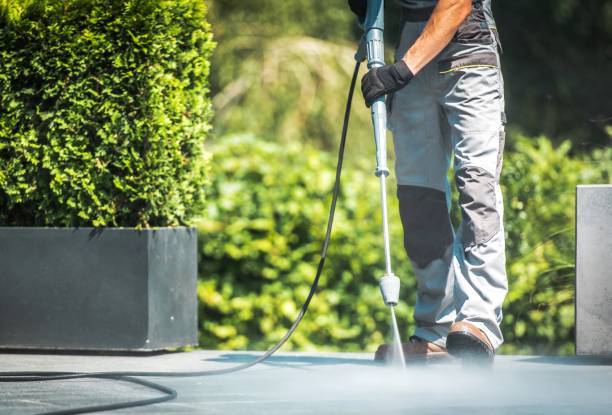 Best Fence Cleaning and Maintenance in San Diego, TX